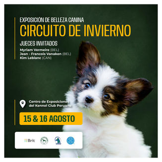 Circuito de Invierno del Kennel Club Peruano: inscripciones abiertas para la Exposición de Belleza Canina