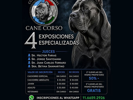 Club Argentino del Cane Corso