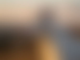 Dogo Argentino y su salud por Dr. Carlos Escudero.Sordera de herencia genética en el dogo argentino.