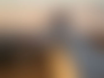 Dogo Argentino y su salud por Dr. Carlos Escudero.Sordera de herencia genética en el dogo argentino.