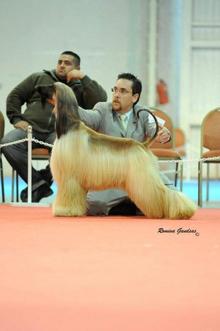 Agustin Farias Handler9
