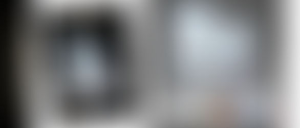 Real Sociedad Canina de España