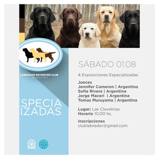 Exposiciones Especializadas de Labrador Retriever: el Labrador Retriever Club Argentino confirma su primera fecha del año