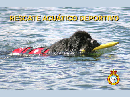 Real Sociedad Canina de España