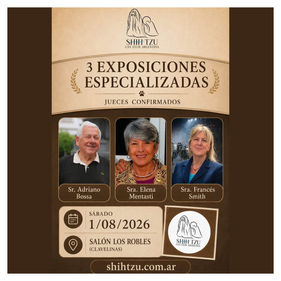 Exposiciones Especializadas de Shih Tzu 2026: el Shih Tzu Can Club Argentina confirma inscripción, aranceles y jueces