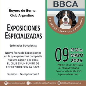 Exposición Especializada del Boyero de Berna en Argentina: fecha, jueces y detalles del evento 2026