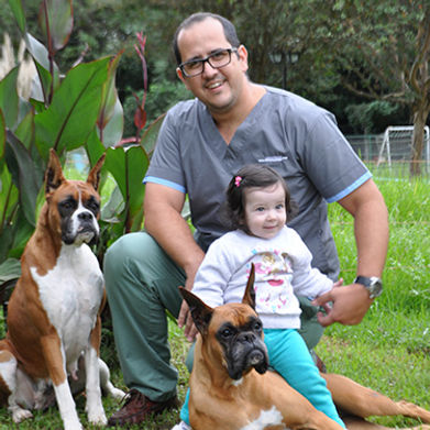 Cachorro de Boxer