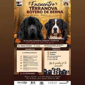 Gran encuentro de Terranova y Boyero de Berna en Buenos Aires: entrada gratuita el 9 de mayo en Ing. Maschwitz