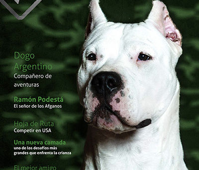 Revista Numero 12