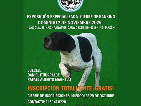 Pointer Club Argentino