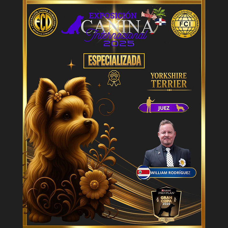 Federación Canina Dominicana