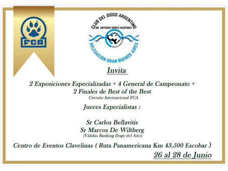 Circuito Internacional FCA del Dogo Argentino: doble especializada y finales “Best of the Best” en Escobar