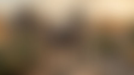 Xoloitzcuintle: la raza canina mas antigua de Mexico y su estandar oficial segun la FCI