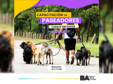 Mascotas de la Ciudad