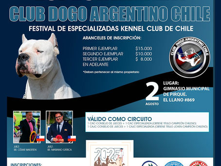 Club del Dogo Argentino - Chile