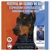 Exposición Especializada Dobermann Club de Chile se realizará el 11 de julio en Pirque
