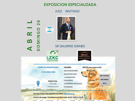Golden Retriever Club Argentino