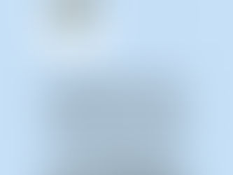 Club del Cocker Americano