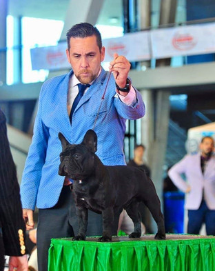 Agustin Farias Handler2
