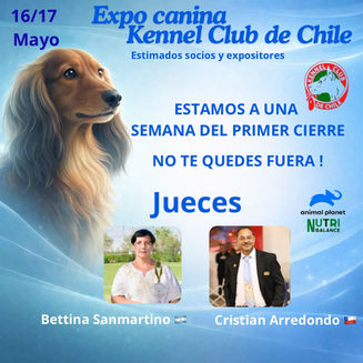 Expo Canina del Kennel Club de Chile 2026: fechas, jueces, inscripciones y valores actualizados