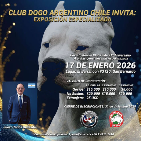 Club Dogo Argentino - Chile