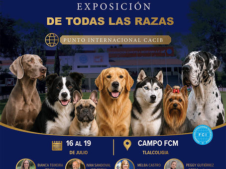 Federación Canófila Mexicana