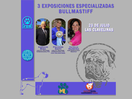 Fiesta del Bullmastiff en la Argentina