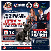 Bulldog Francés será protagonista en la Exposición del Consejo de Jueces y Festival de Especializadas del Kennel Club de Chile