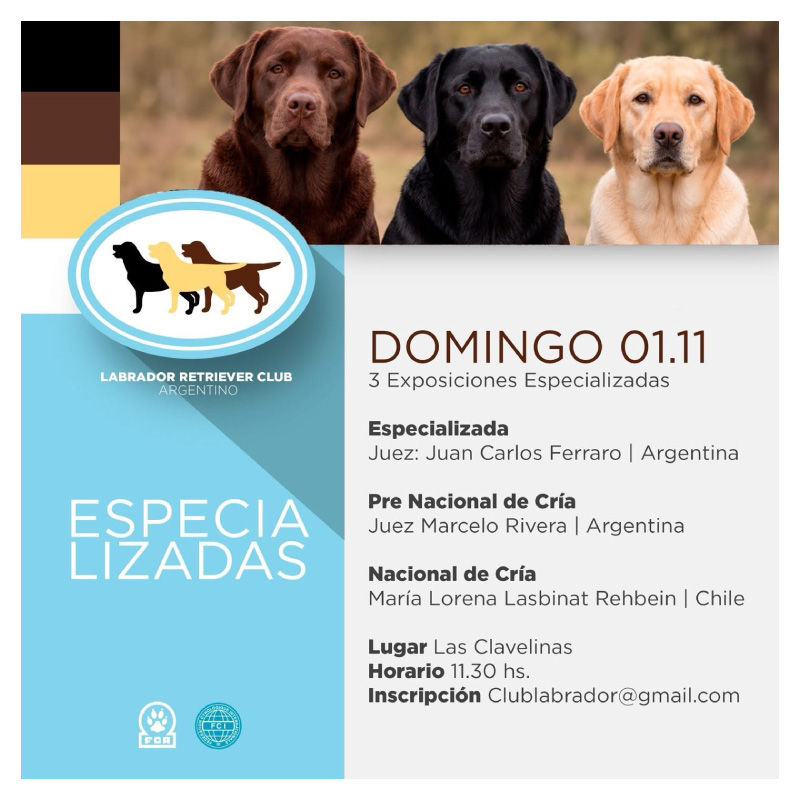 Exposición Nacional de Labrador Retriever 2026: tres especializadas el 1 de noviembre
