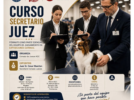 Curso de Secretario de Juez del Kennel Club de Chile: formación para integrar el equipo de juzgamiento
