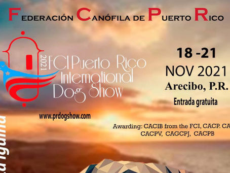 Federación Canofila de Puerto Rico