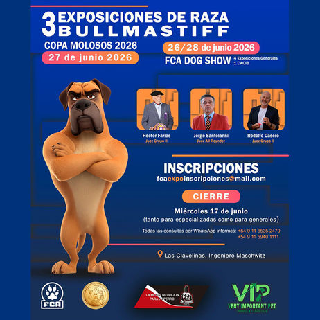 Bullmastiff: anuncian tres exposiciones especializadas en el marco de la Dog Show FCA – FCI Invierno 2026