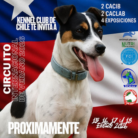 Kennel Club de Chile