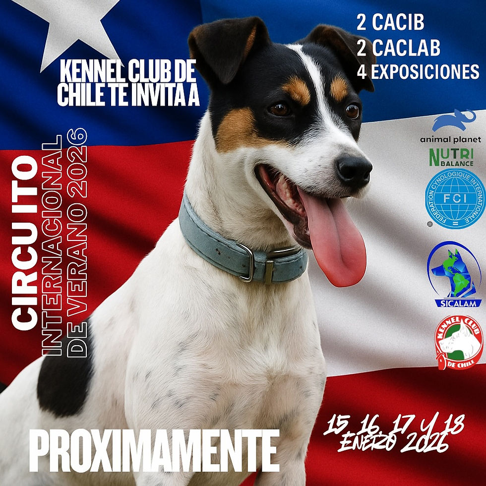 Kennel Club de Chile