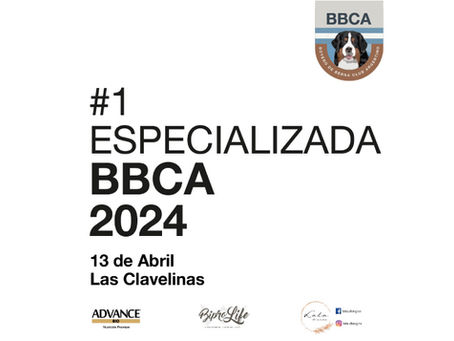 Boyero de Berna Club Argentino