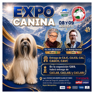 Exposición Canina Kennel Club de Chile: fecha, sede y programa oficial