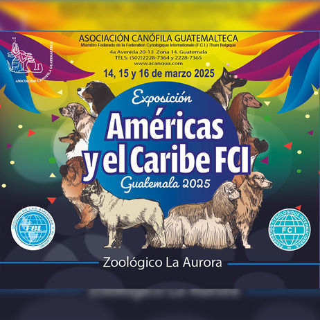 Américas y el Caribe 2025