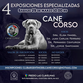 Club Argentino del Cane Corso