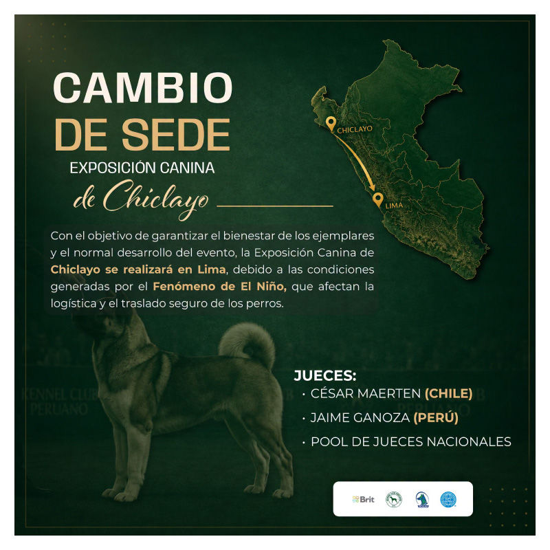 Exposición Canina de Chiclayo cambia de sede a Lima por el Fenómeno de El Niño