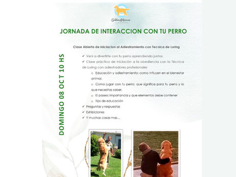 Golden Retriever Club Argentino