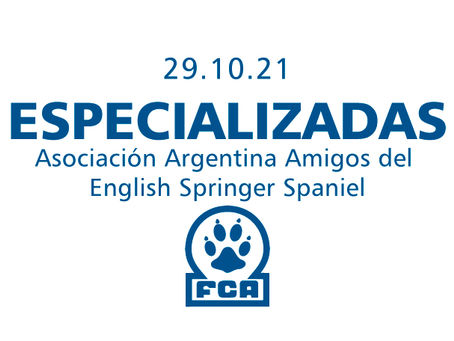 Asociación Argentina Amigos del English Springer Spaniel