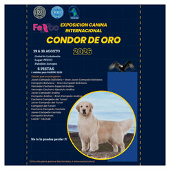 Cóndor de Oro 2026: Exposición Canina Internacional en Cochabamba