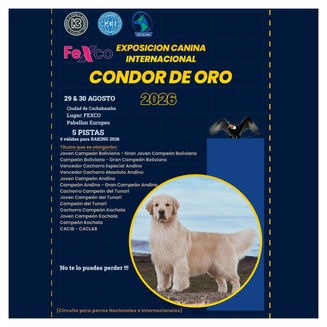 Cóndor de Oro 2026: Exposición Canina Internacional en Cochabamba
