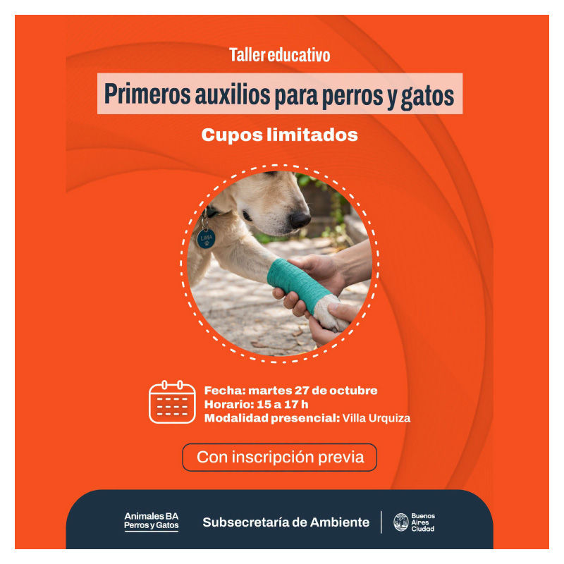 Primeros auxilios para perros y gatos: taller educativo en Villa Urquiza el 27 de octubre