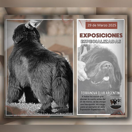 Terranova Club Argentino