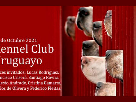 Kennel Club Uruguayo