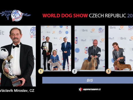 Word Dog Show 2021