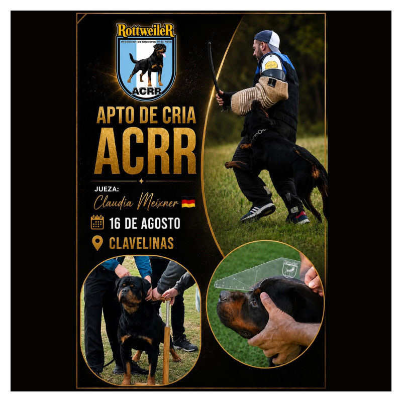 Apto de Cría ACRR: evaluación organizada por la Asociación de Criadores de la Raza Rottweiler Argentina