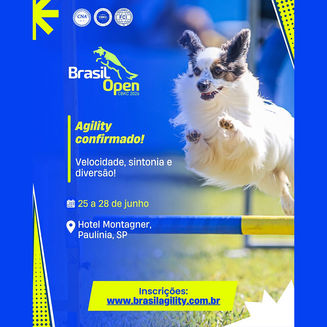 Confederação Brasileira de Cinofilia