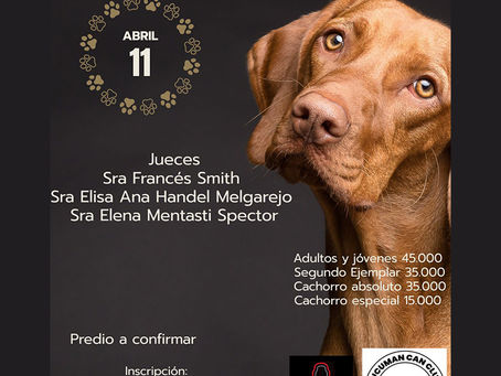 Tucumán Can Club